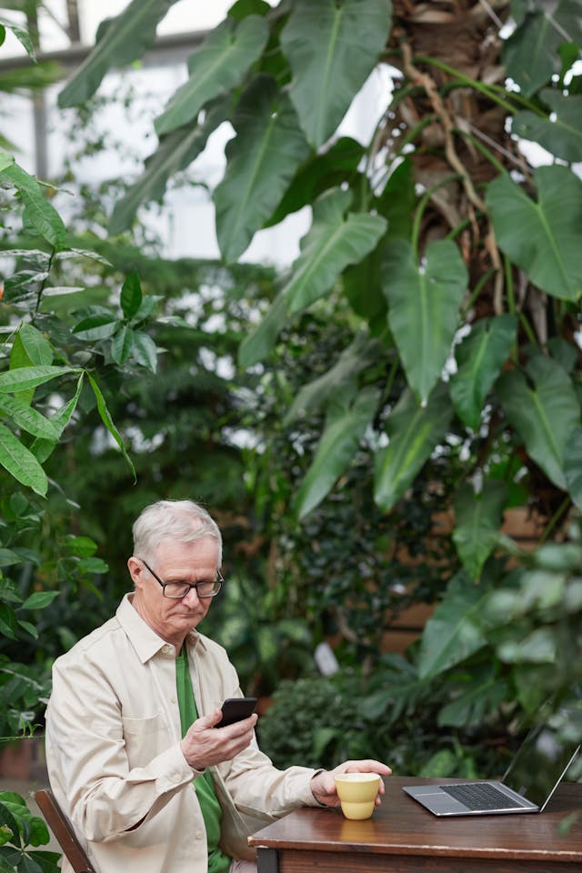 Brelvornetta galéria